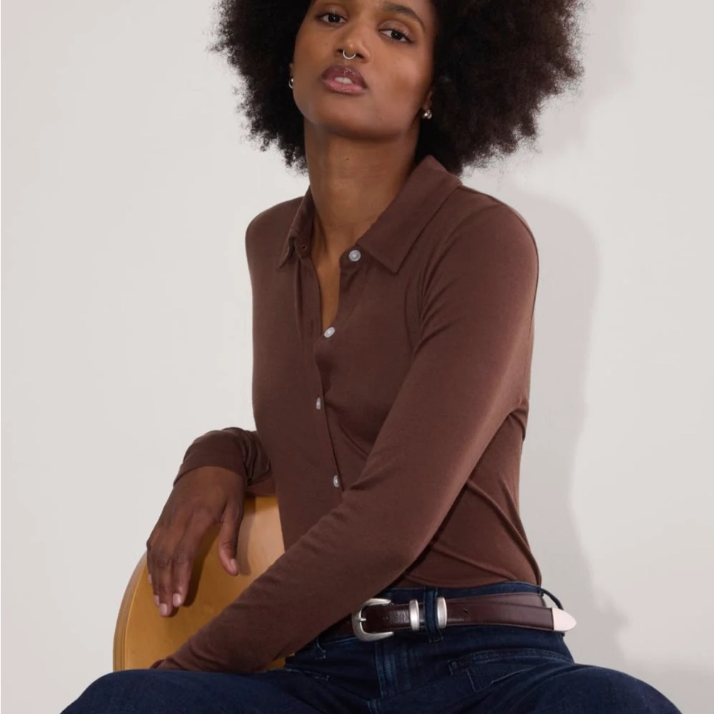 Everlane Brown Button Down Shirt